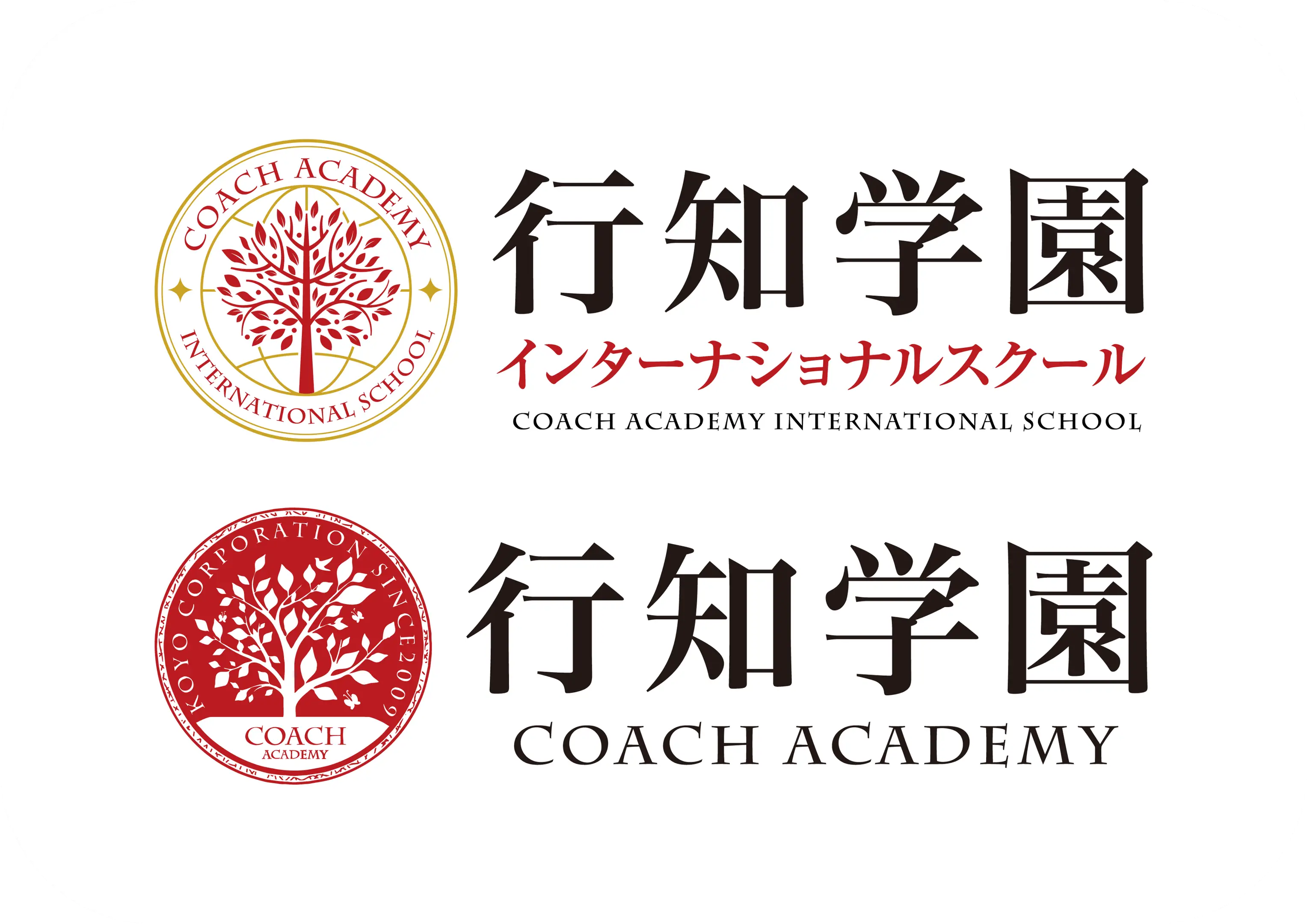 行知学园国际高中